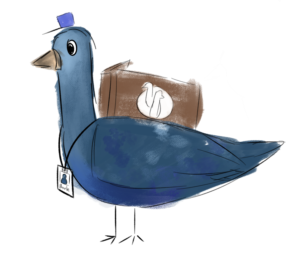 Boule the pigeon